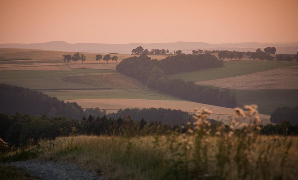 Landgasthof Dittersdorfer Hoehe Amtsberg Eksteriør billede